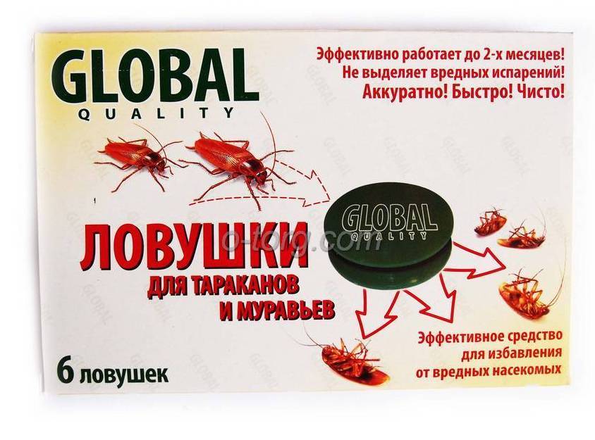 Как избавиться от тараканов: лучшие народные средства