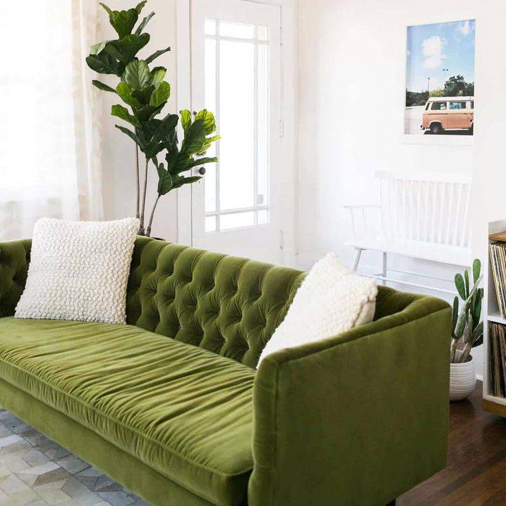 Зеленая гостиная: лучшие идеи дизайна и интерьера