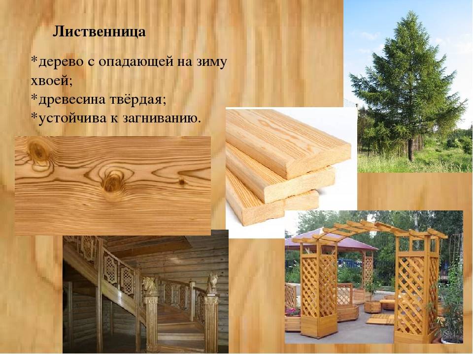 Древесина для строительства дома: как выбрать тип, сорт, количество - 1drevo.ru