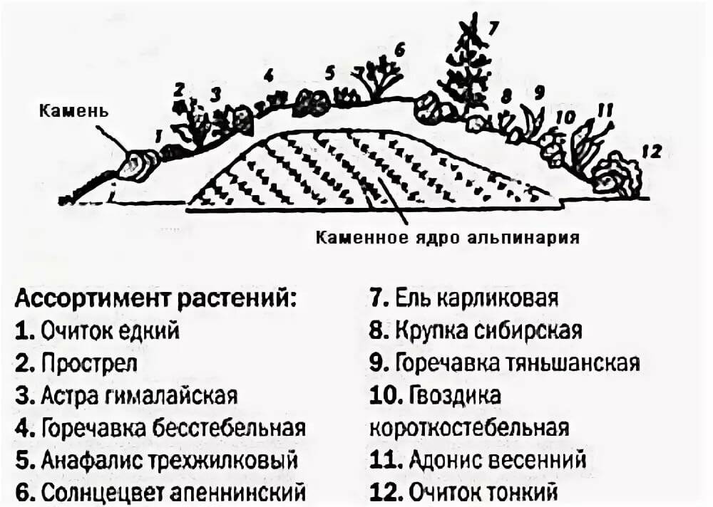 Альпийская горка схема посадки