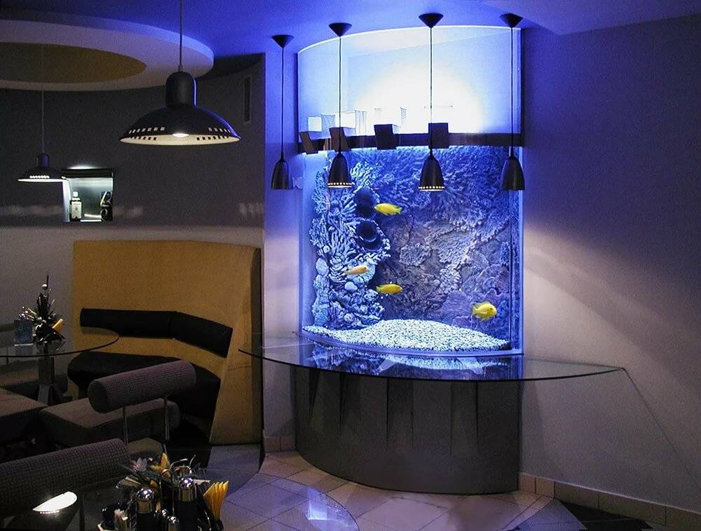 Круглый аквариум — фото в интерьере и правила организации
