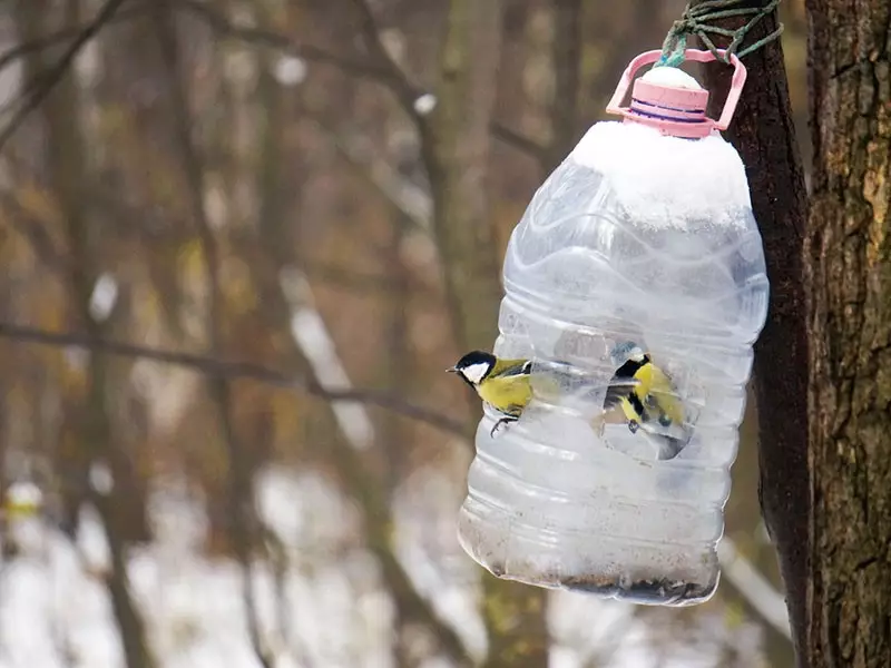 Как сделать кормушку для птиц из пластиковой бутылки (фото и инструкция) - техмагия