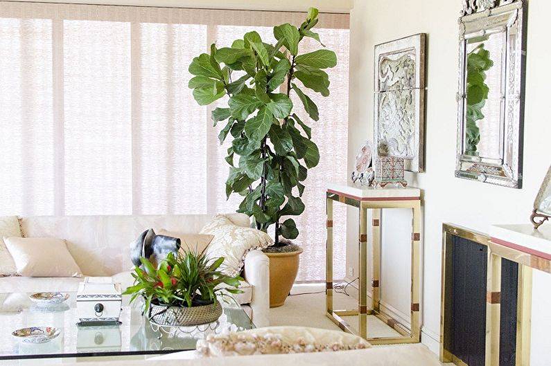 Большие комнатные растений для украшения интерьера (фото)