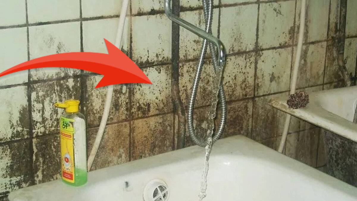 Как избавиться от черной плесени в ванной комнате?