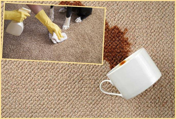 Чистка ковров и диванов - как почистить до идеального состояния дома