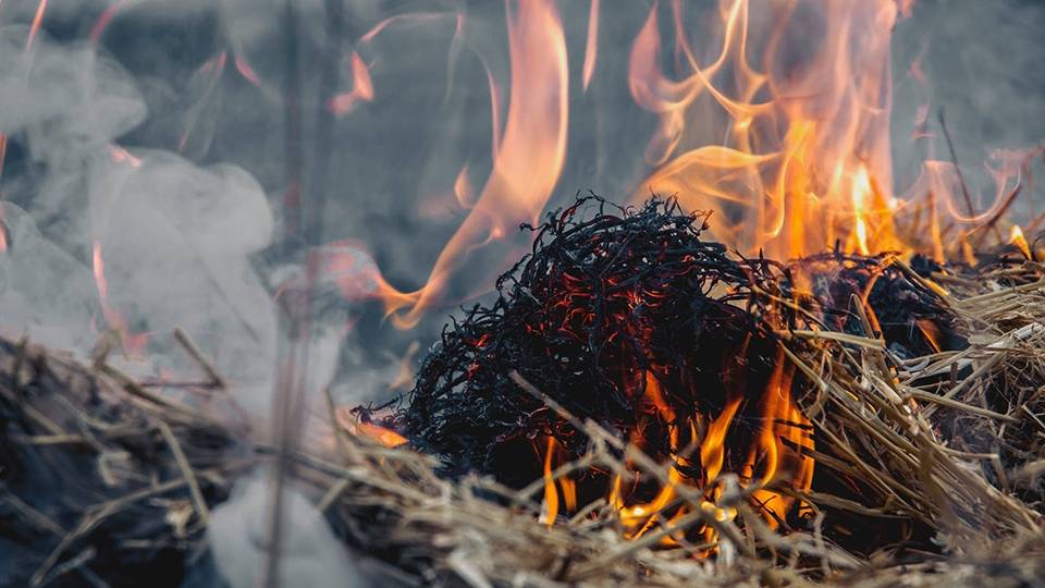 Не сжигайте сено и солому – бесценный материал для дачи