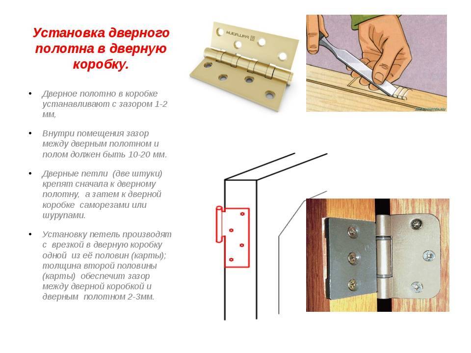 Как собрать дверную коробку своими руками пошаговая инструкция: излагаем в общих чертах