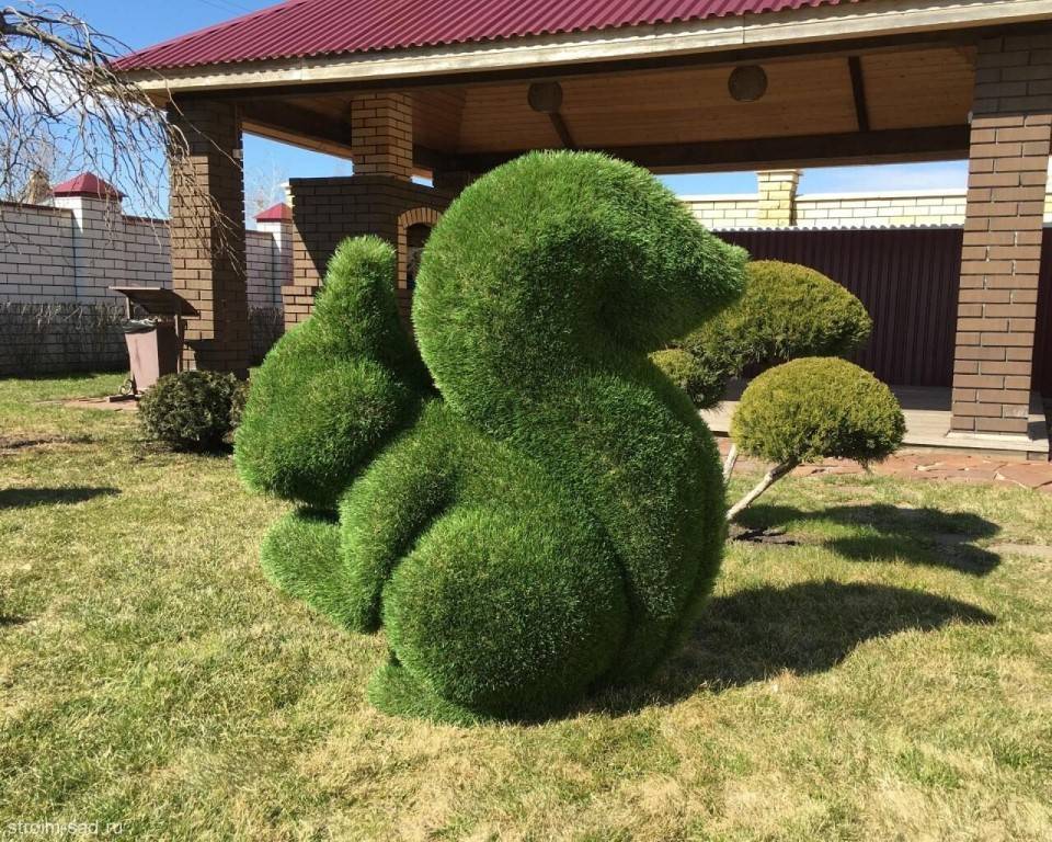 Особенности создания топиария из искусственной травы: как сделать фигуры из зелени