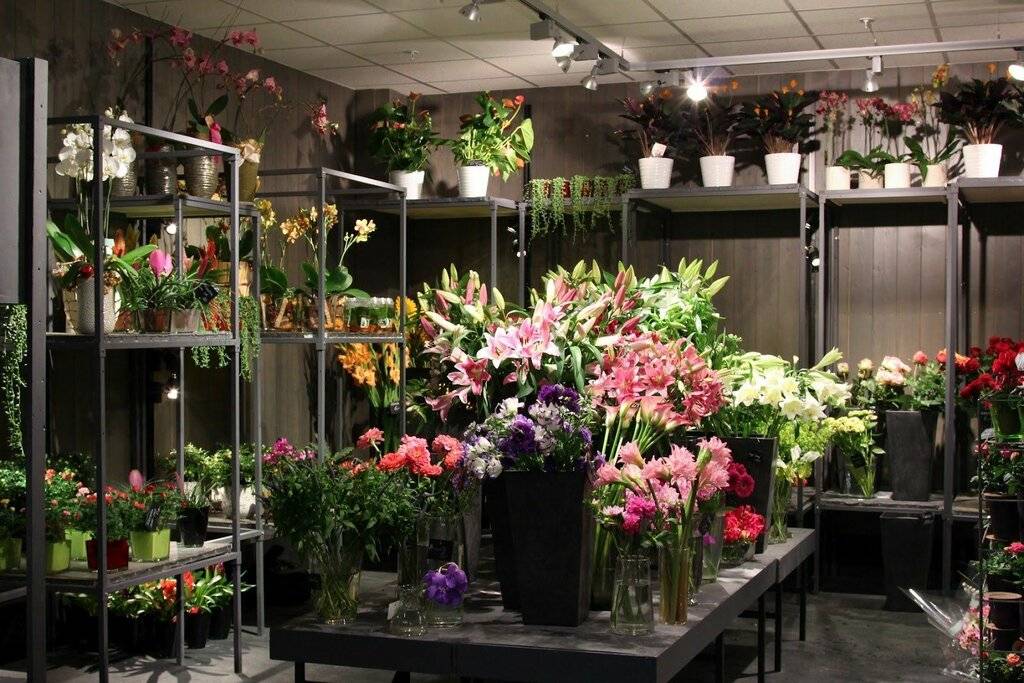 Магазин цветов - дизайн помещения внутри и снаружи