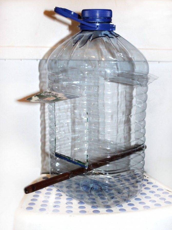 Кормушки из пластиковых бутылок своими руками: 70 фото и видео описание как сделать удобные и практичные кормушки