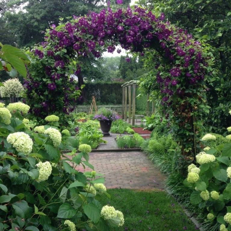 Как использовать гортензию садовую — правила в ландшафтном дизайне