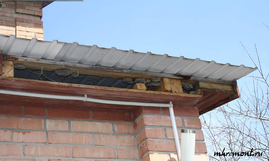 Как выгнать птиц из-под крыши дома: 5 проверенных способов