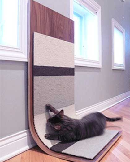 Как быстро отучить кошку драть мебель и обои, эффективные методы