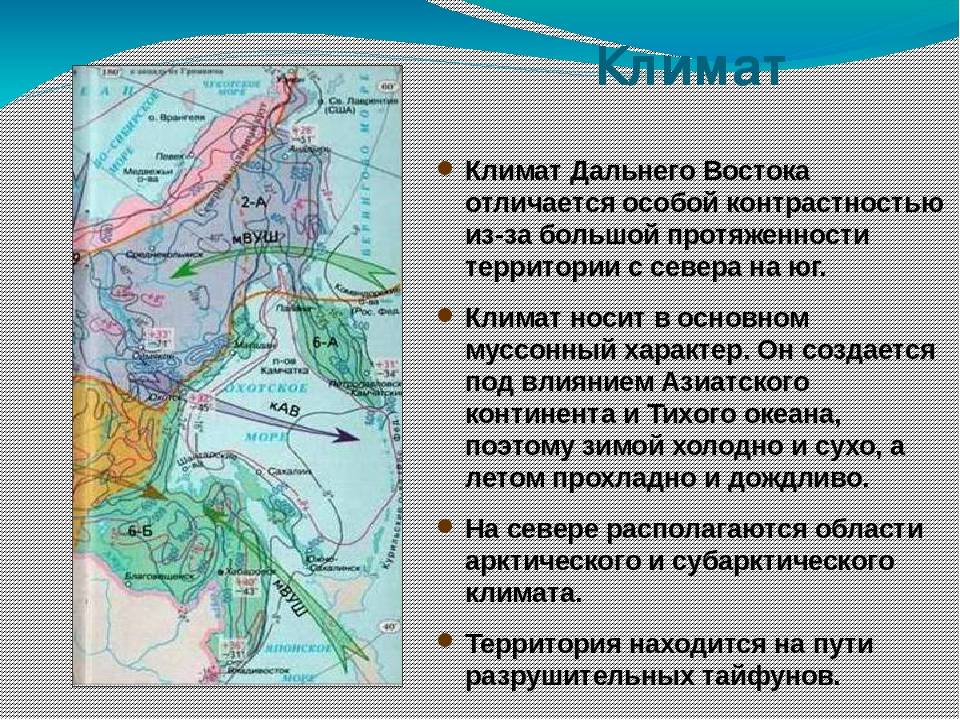 Анализ сайта www.klimat-dv.ru
