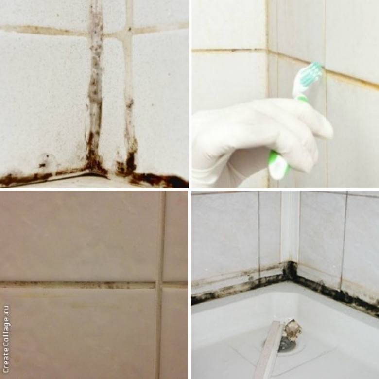 Как избавиться от плесени в ванной в домашних условиях?