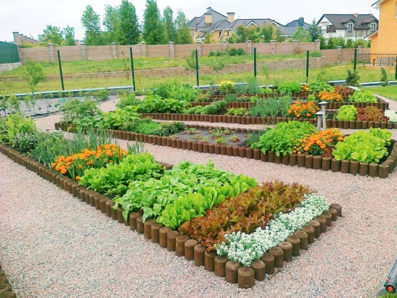 Красивый огород: различные варианты ландшафтного дизайна, интересные идеи оформления грядок на даче из подручных средств  - 28 фото