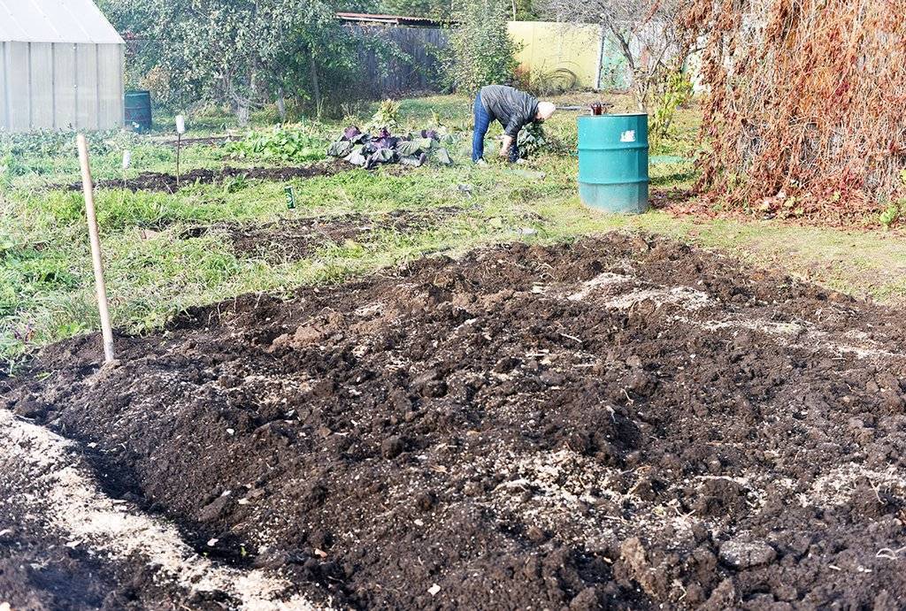 Как удобрить землю: пошаговая инструкция как и чем можно улучшить почву на участке (105 фото + видео)