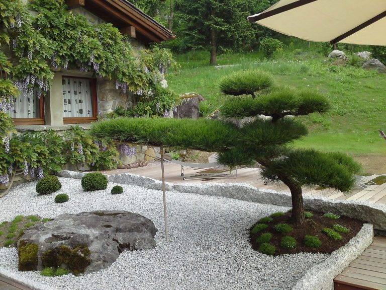 Разные виды японского сада: правила создания стиля