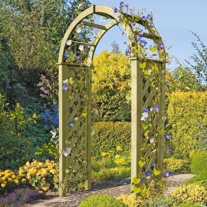 Садовые арки: инструкция по изготовлению, обзор лучших схем и чертежей
