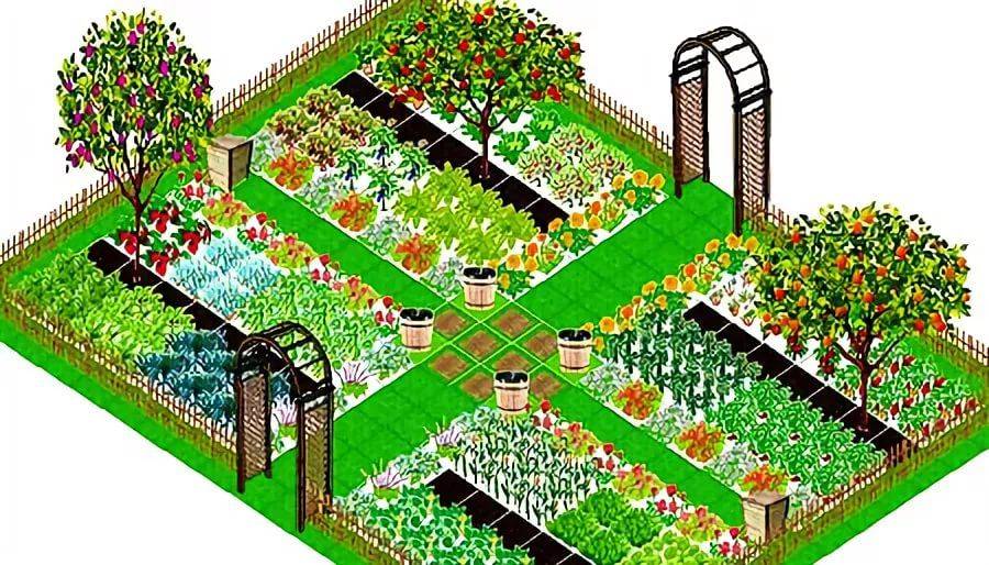 Планировка сада: варианты. разбивка территории под плодовый сад