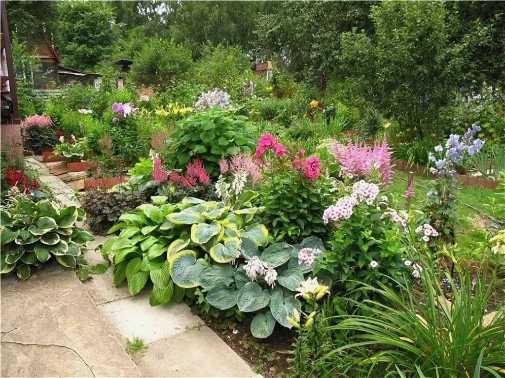 Хоста в ландшафтном дизайне в саду: как посадить хосты красиво, клумбы с хостой