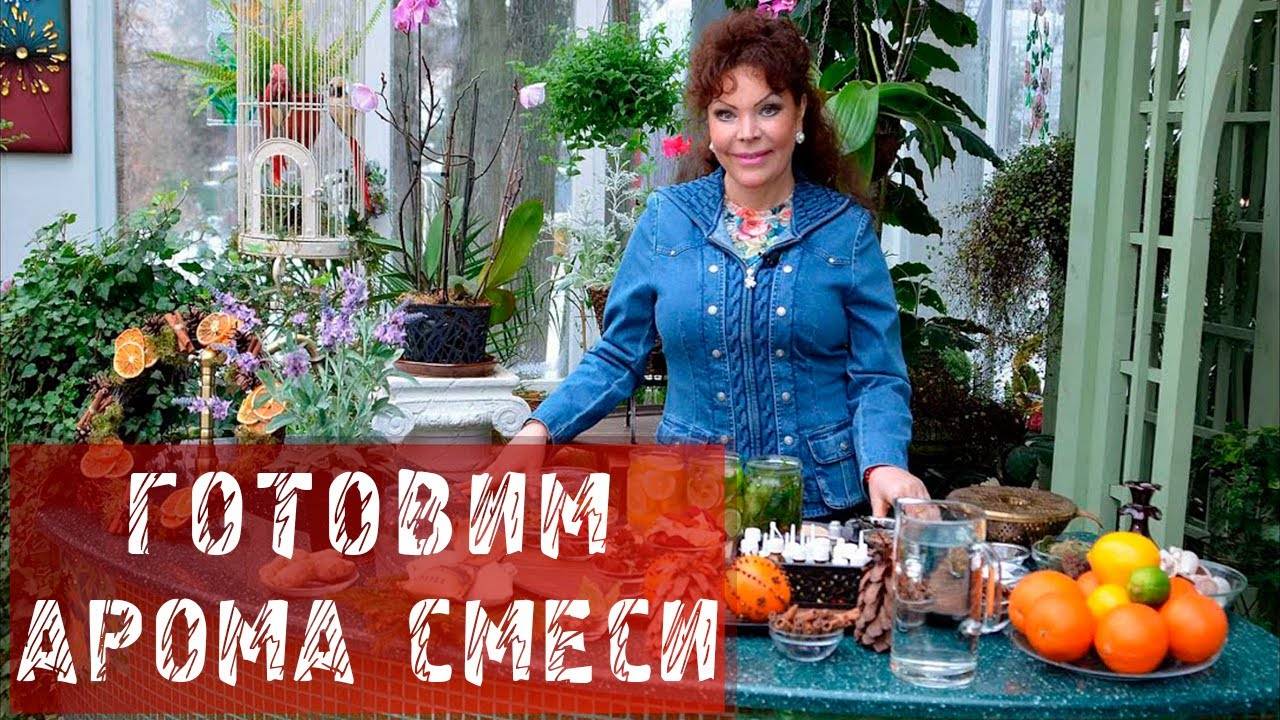 Ольга платонова – биография, фото, личная жизнь, новости, «фазенда» 2021