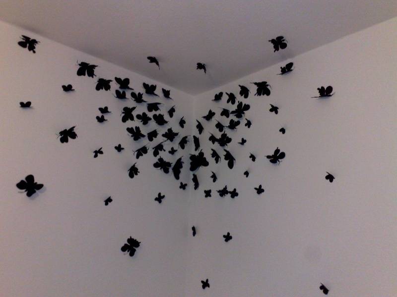 Как расположить на стене бабочек: декор стен бабочками своими руками +60 фото идей – 140+ (фото) красивых оформлений в интерьере