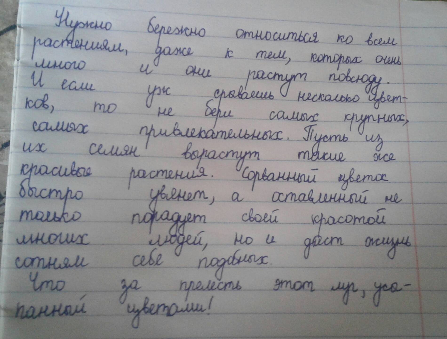 Как правильно выбрать дачу - на что обратить внимание и не переплатить