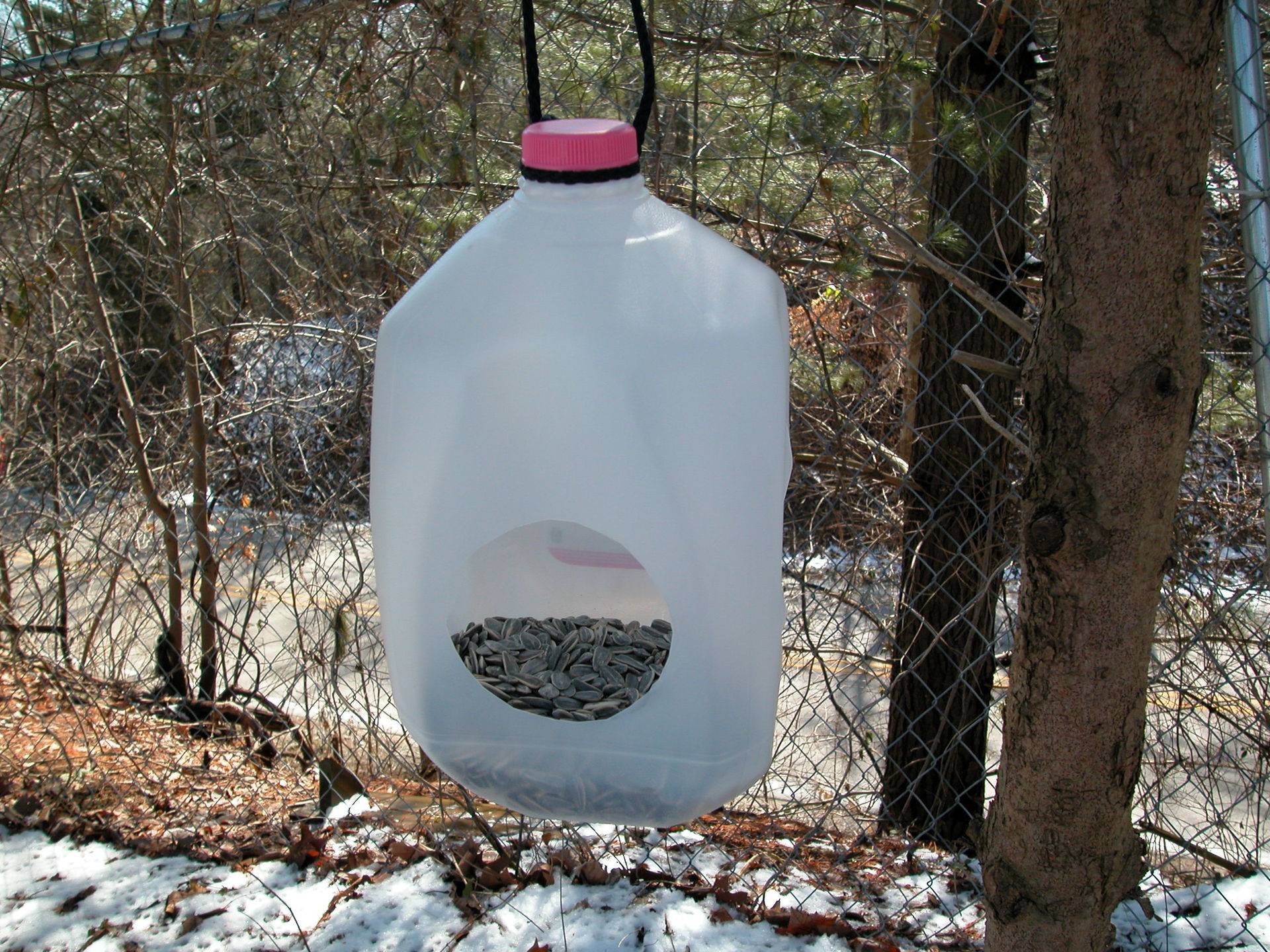 Кормушка для птиц своими руками (102 фото) - легкие мастер-классы по созданию кормушек из дерева, фанеры, пластиковой бутылки