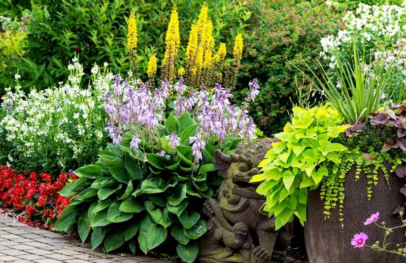 Использование растений и цветов для ландшафтного дизайна сада