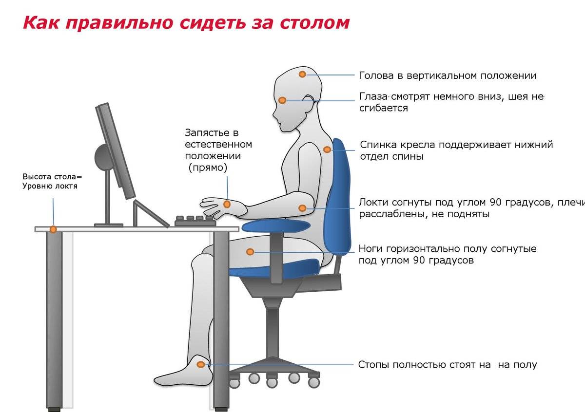 Правильная посадка за столом взрослого