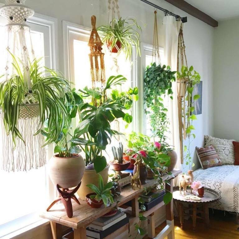 Растения в интерьере жилого дома (86 фото): комнатные цветы в красивых вазах, декор из искусственных растений