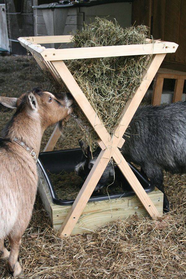 Кормушка для коз и козлят — выбор конструкции материала процесс изготовления видео