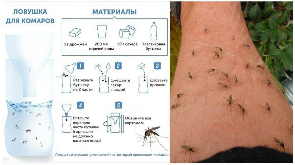Фумигатор с жидкостью от комаров: как работает, инструкция как включить, рейтинг лучших
