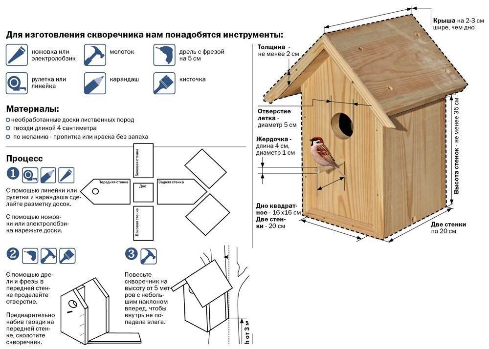Скворечник: размеры, чертеж и рекомендации по созданию птичьего жилья – советы по ремонту