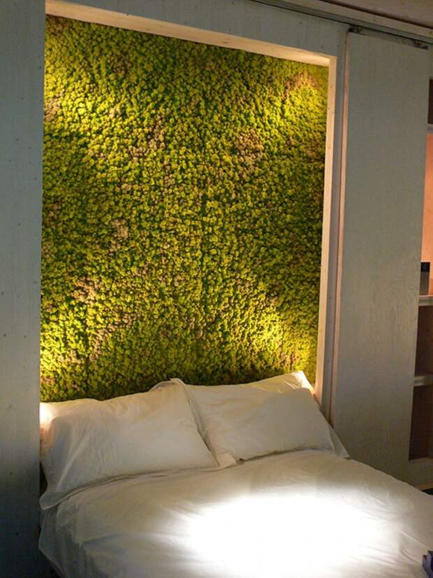 Мох на стены: панно из декоративного мха в интерьере квартиры. как вырастить живой мох для озеленения стены? картины из стабилизированного мха