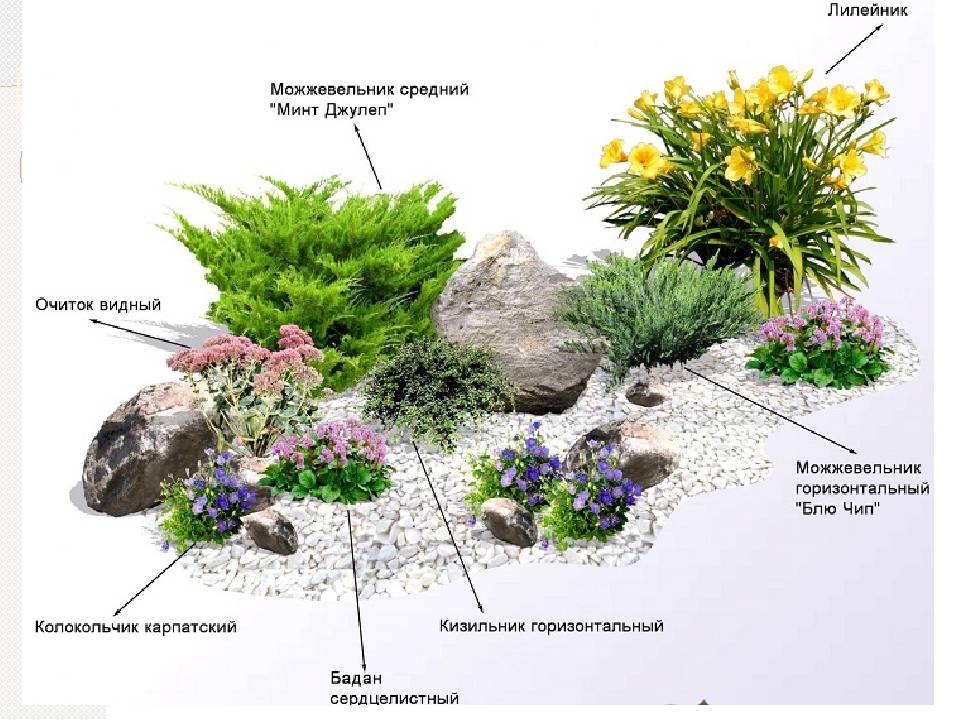 Рокарий в ландшафте участка - правила создания - сад и клумба