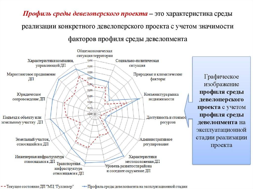 Девелоперский проект это