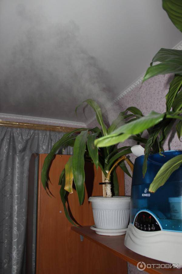 Эффективные способы, как убрать повышенную влажность в квартире