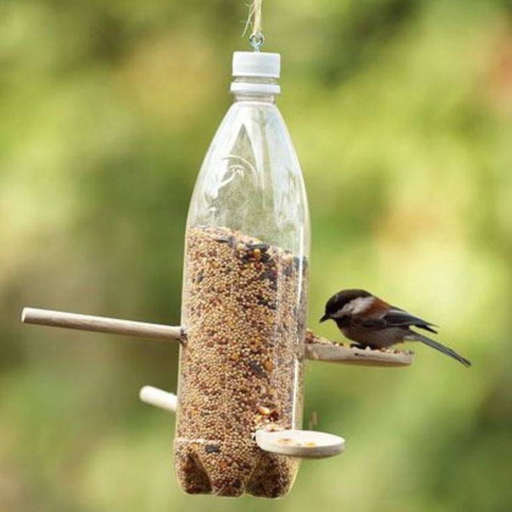 Кормушки для птиц из пластиковой бутылки своими руками - фото и видео