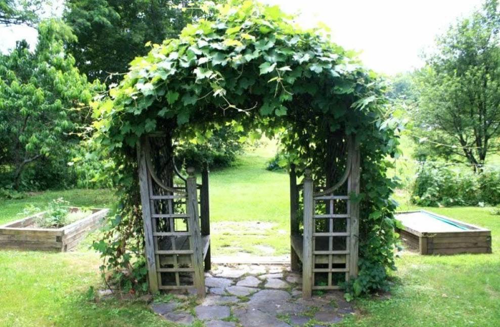 Садовая арка (пергола) своими руками: топ-100 фото красивых арок + мастер-класс по созданию своими руками из разных материалов