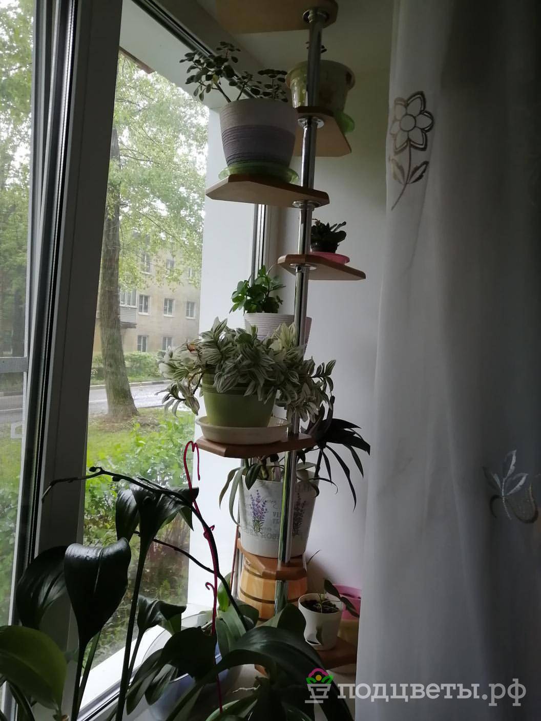 Этажерка для цветов: «дом» для растений и украшение для интерьера