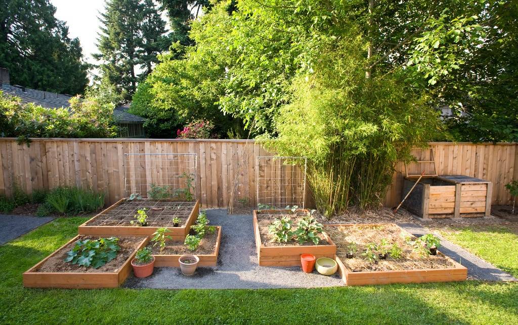 Планировка огорода: как правильно распланировать участок возле дома, посадка плодовых деревьев и кустарников  - 13 фото