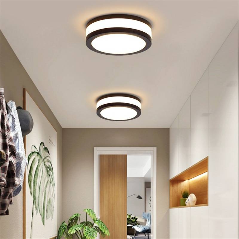 Дизайнерские светильники в интерьере (88 фото): карданные угловые источники света для подвесных потолков, красивые модели для дома в виде цветов