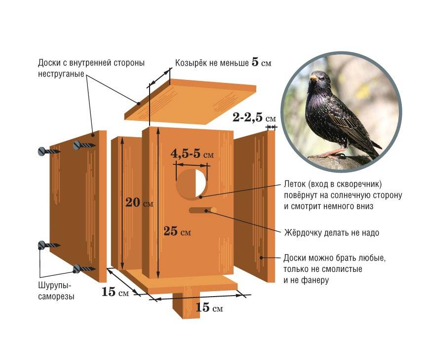 Скворечник своими руками: как сделать быстро простой и красивый домик для птиц? (75 фото идей)