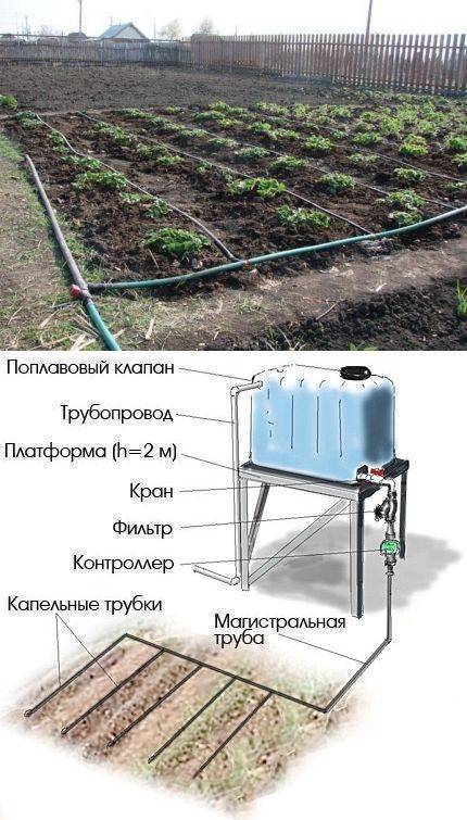 Капельный полив для теплицы из еврокуба схема