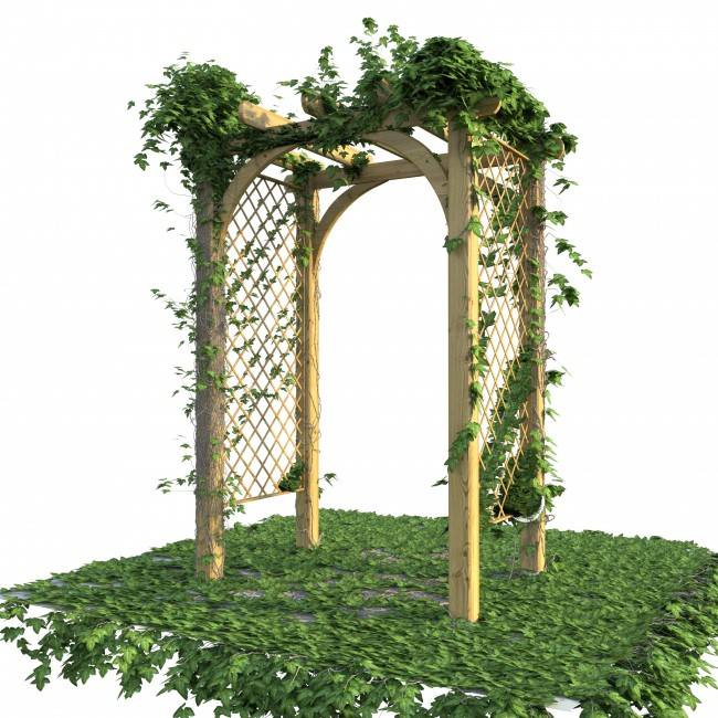 Садовая арка: новинки конструкций, проекты для постройки и советы по применению (140 фото и видео)