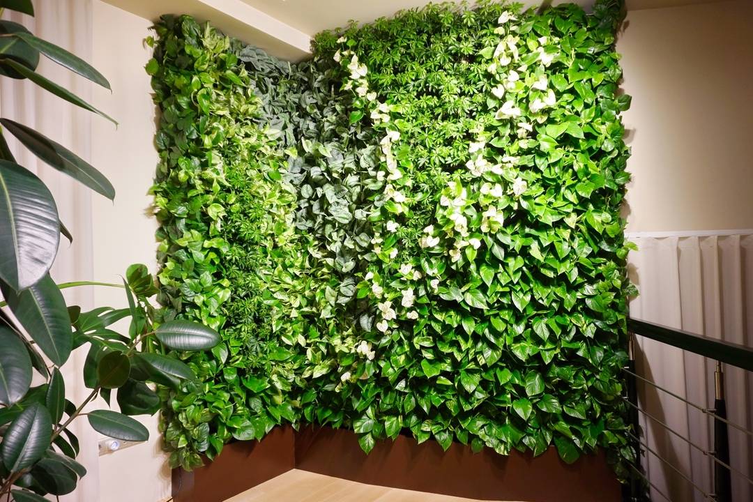 Вертикальный сад в квартире: 60+ потрясающих идей зеленого уголка своими руками