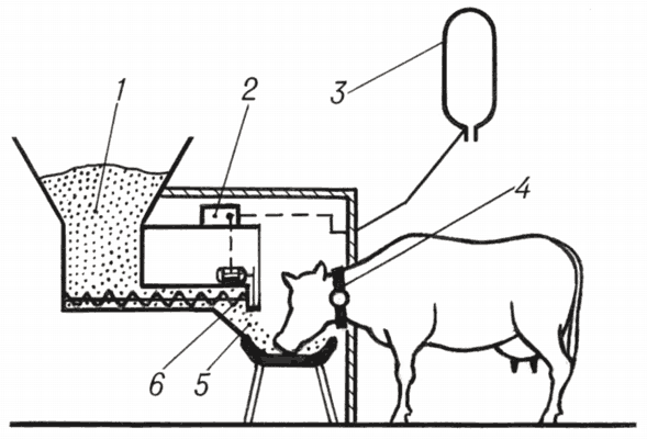 Как сделать кормушку для коров своими руками