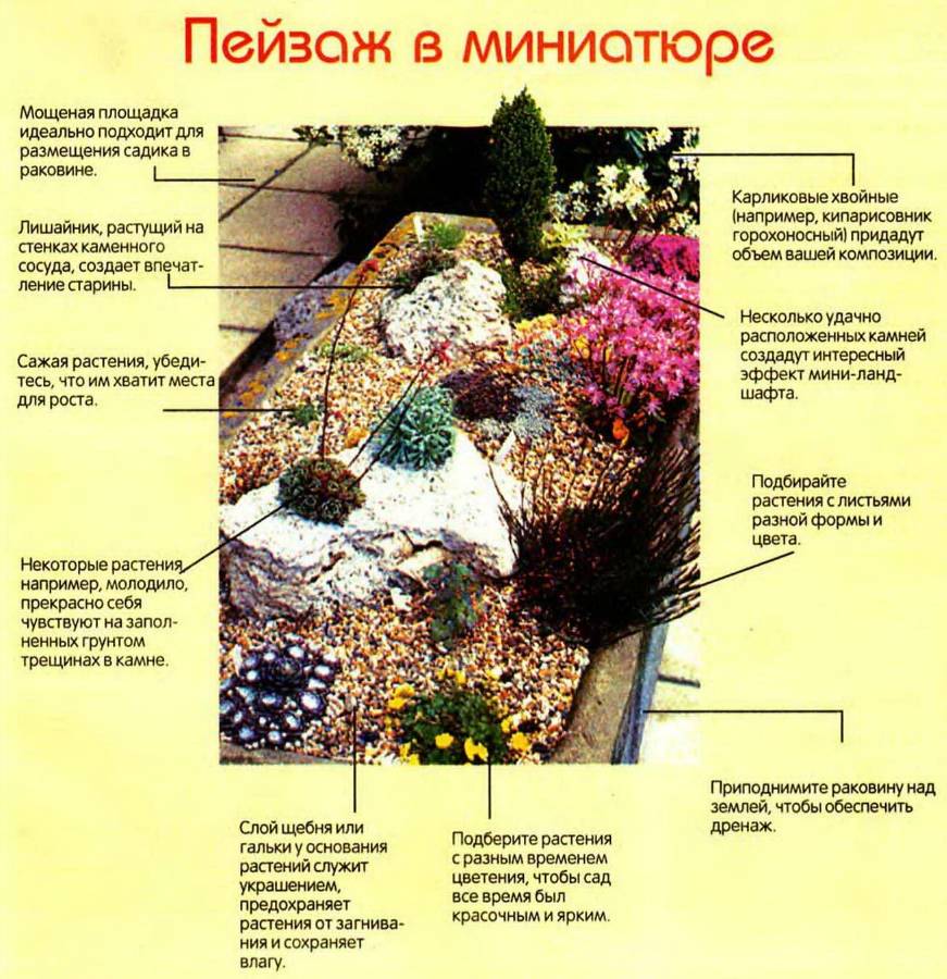 Проект клумбы: планировка цветника перед домом: схемы размещения, примеры оформления однолетниками
 - 26 фото